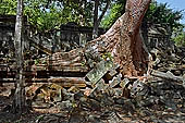 Angkor - ruins of Beng Mealea